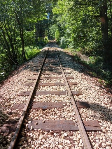 Ergebnis Laubblasen